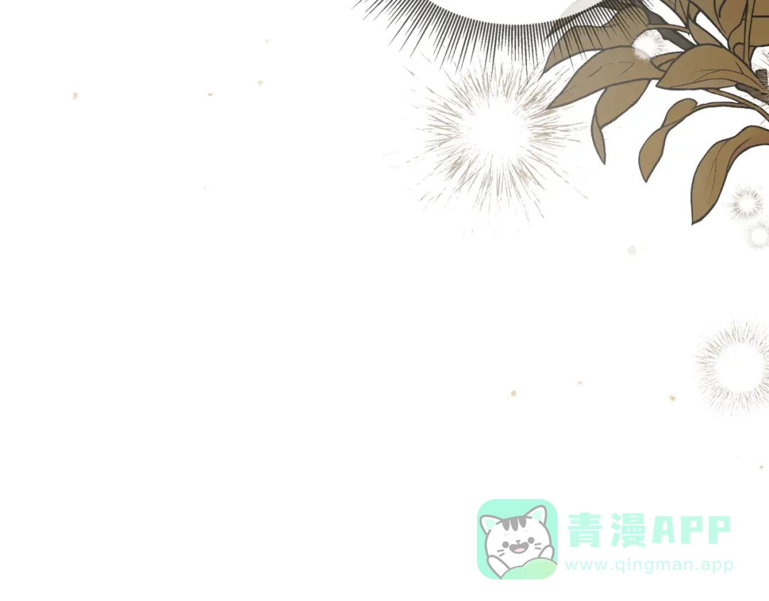 第196页