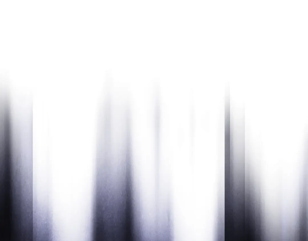 第238页