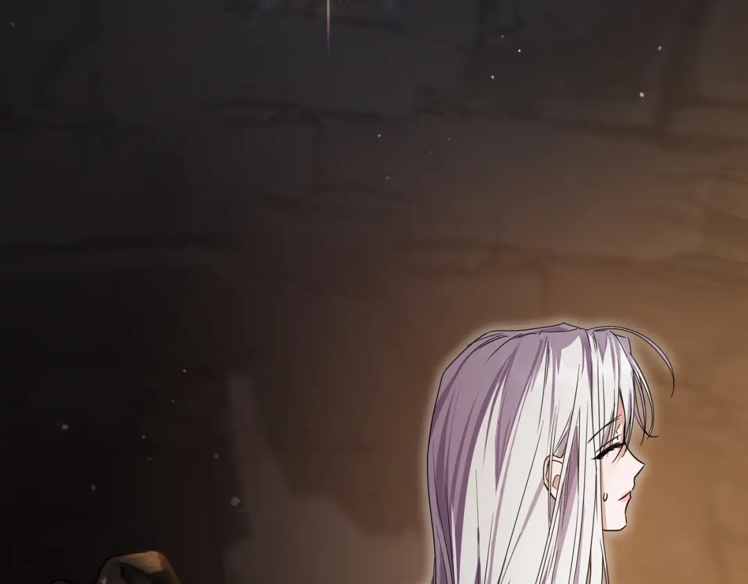 第217页