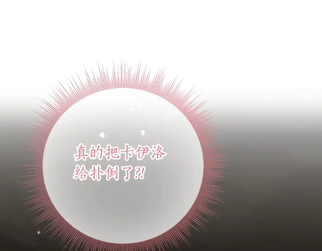 第241页