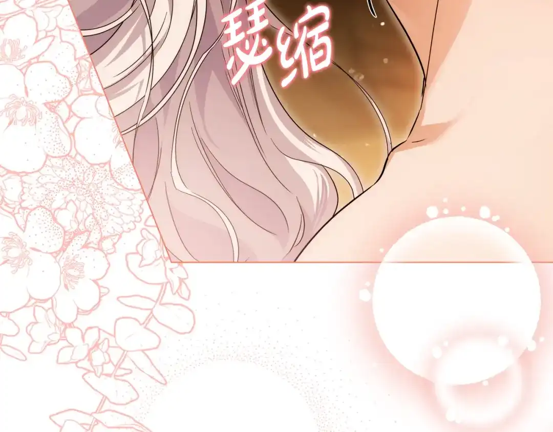 第255页
