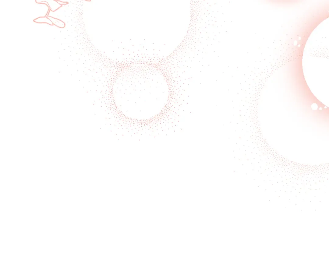 第256页
