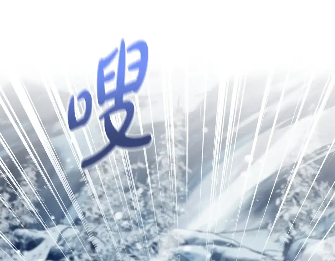 第223页
