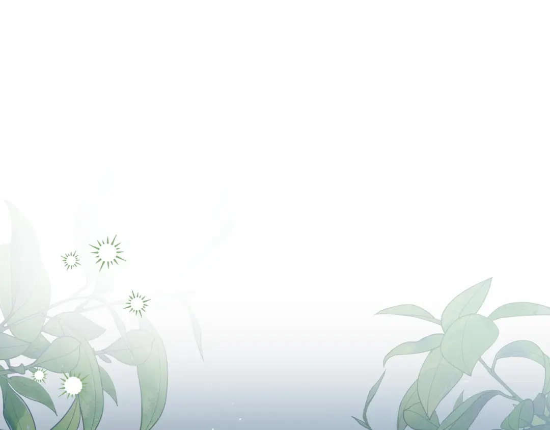 第246页