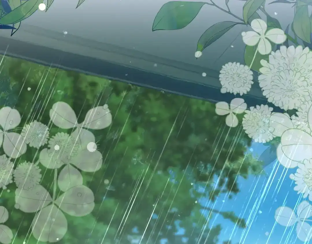 第247页
