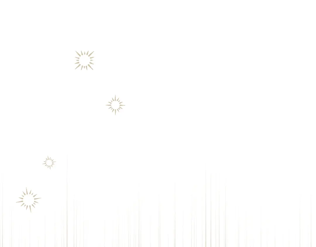 第355页