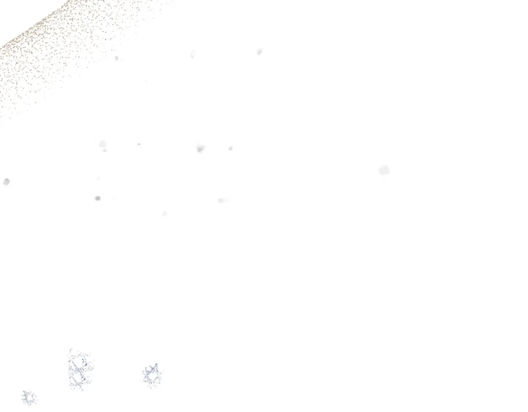 第415页