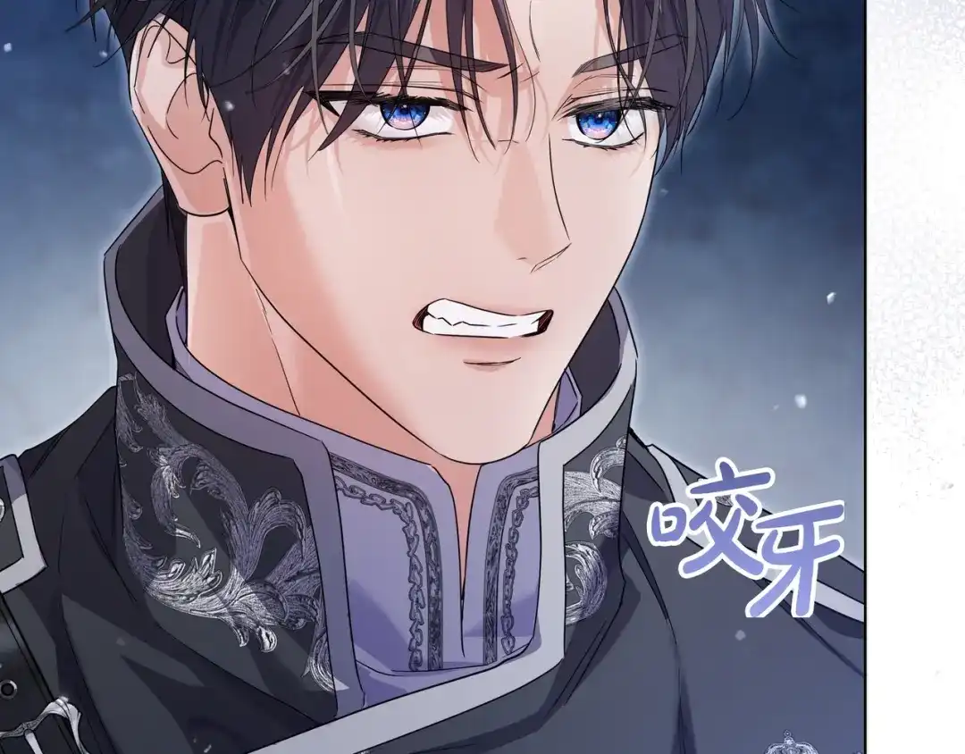 第221页