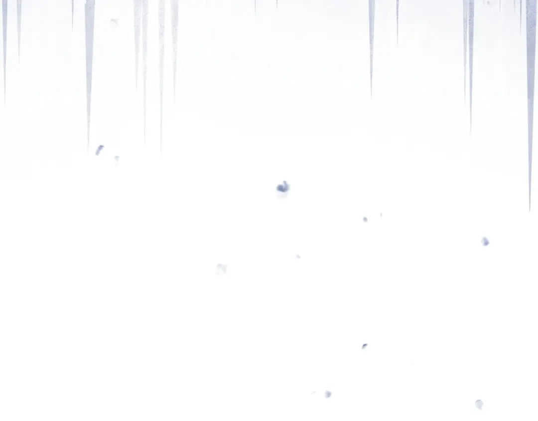 第251页