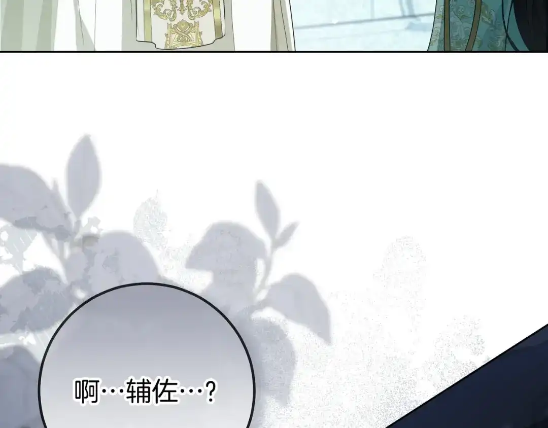 第245页