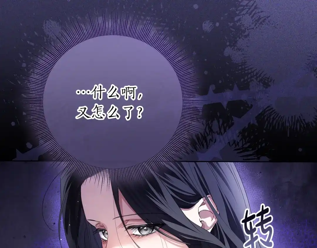 第221页