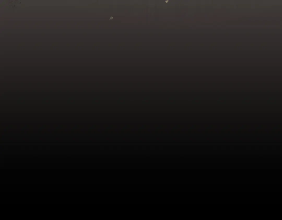 第204页