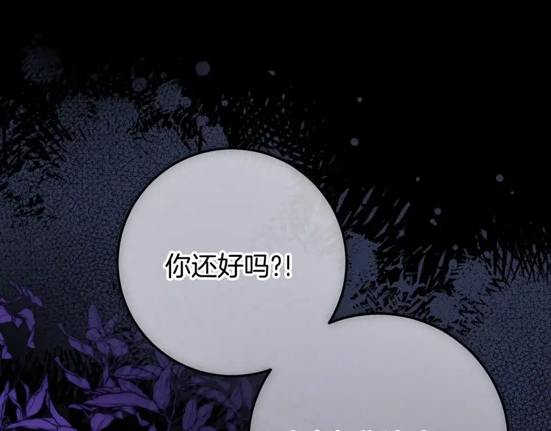第206页