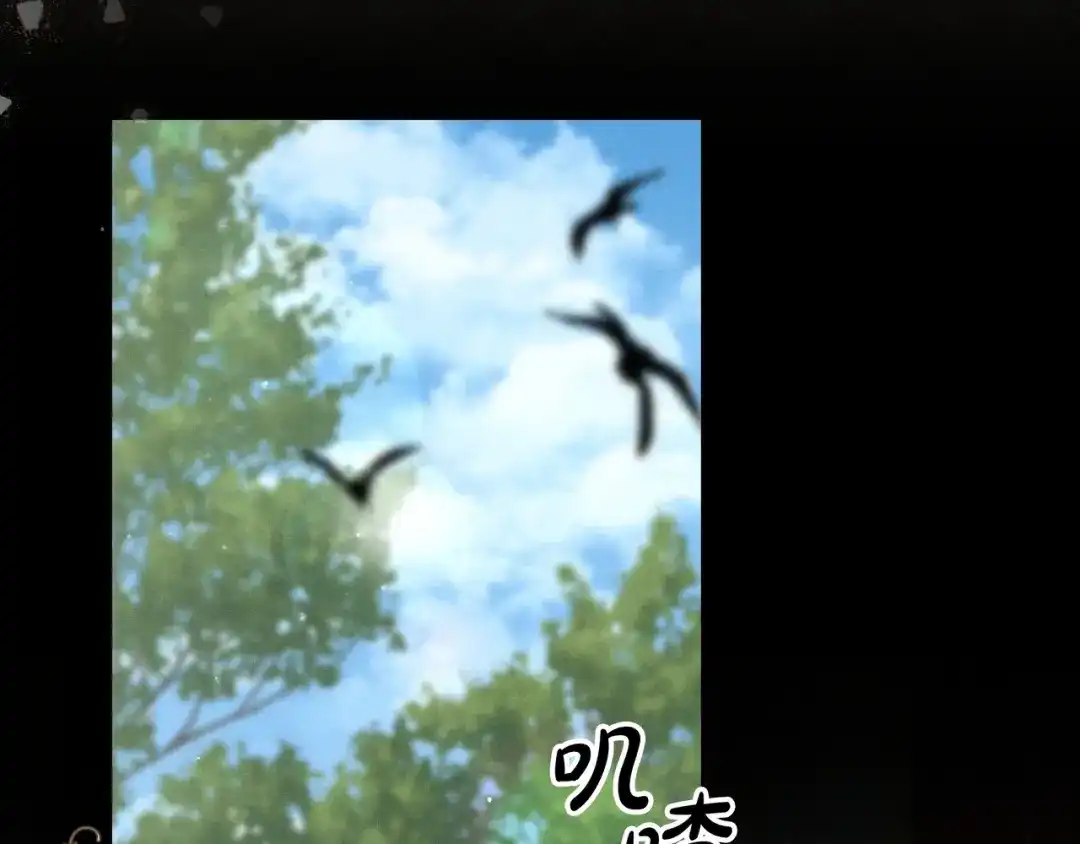 第224页