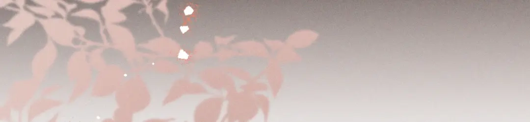 第244页