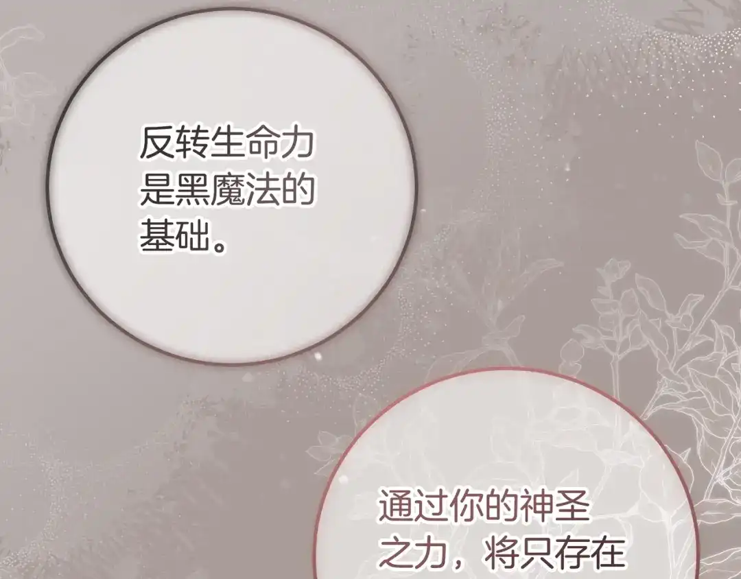 第258页