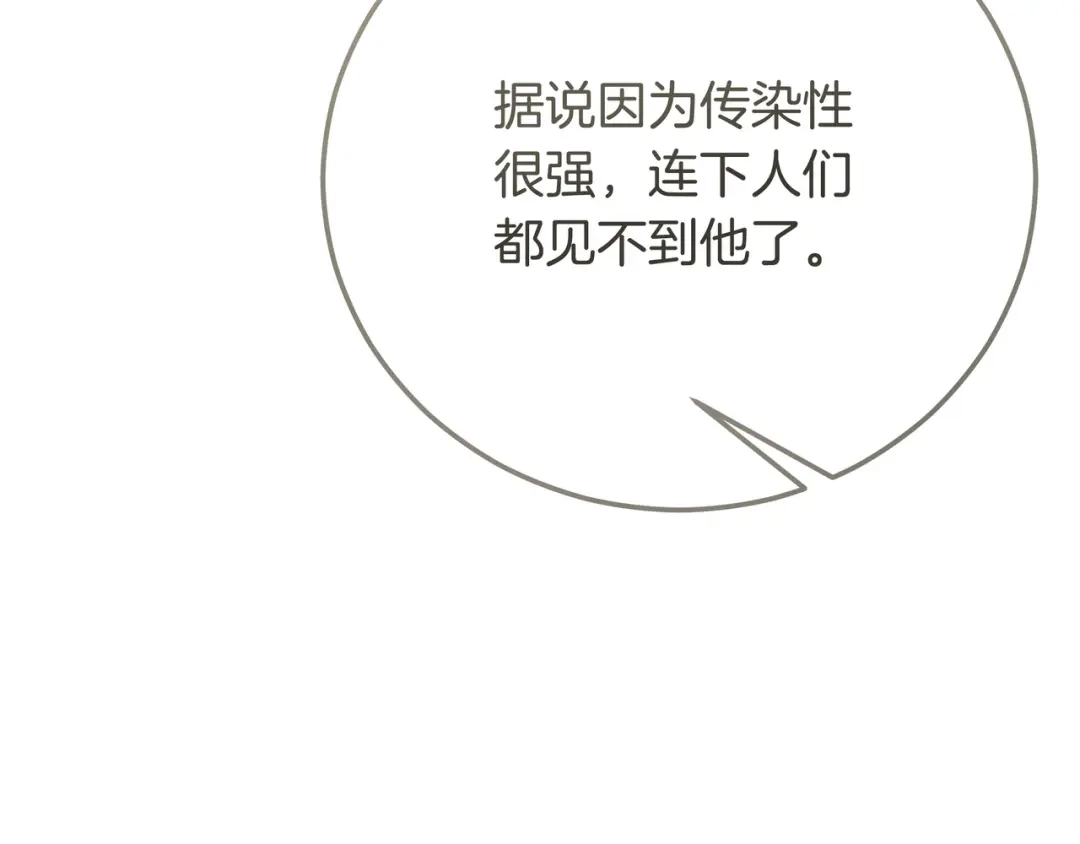 第242页