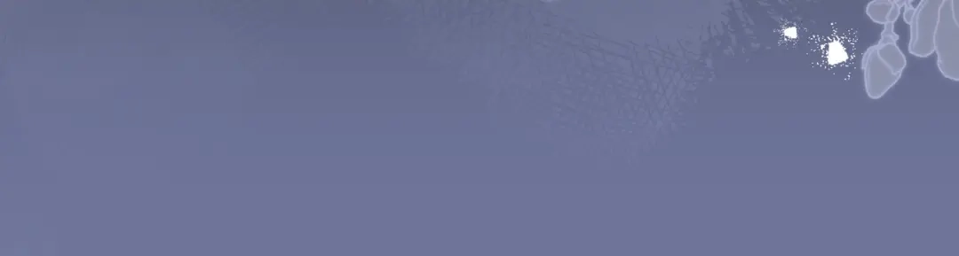 第317页