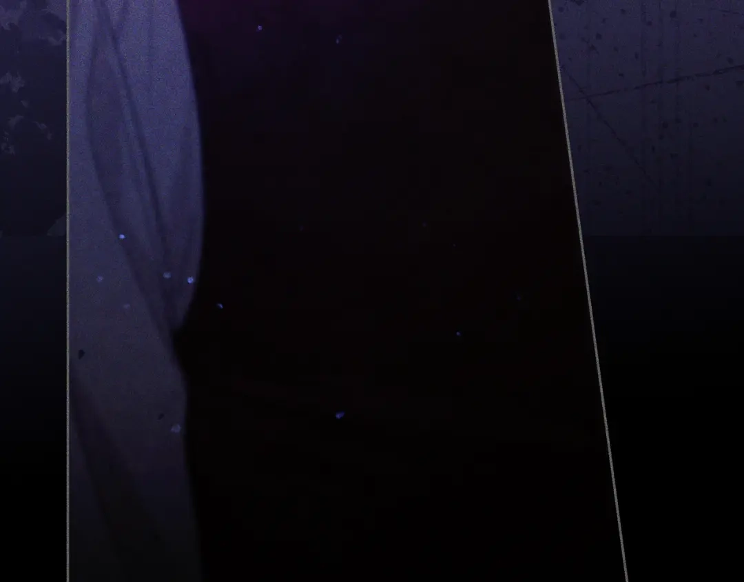 第501页