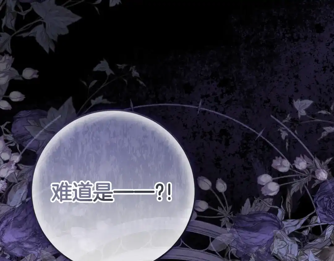 第243页