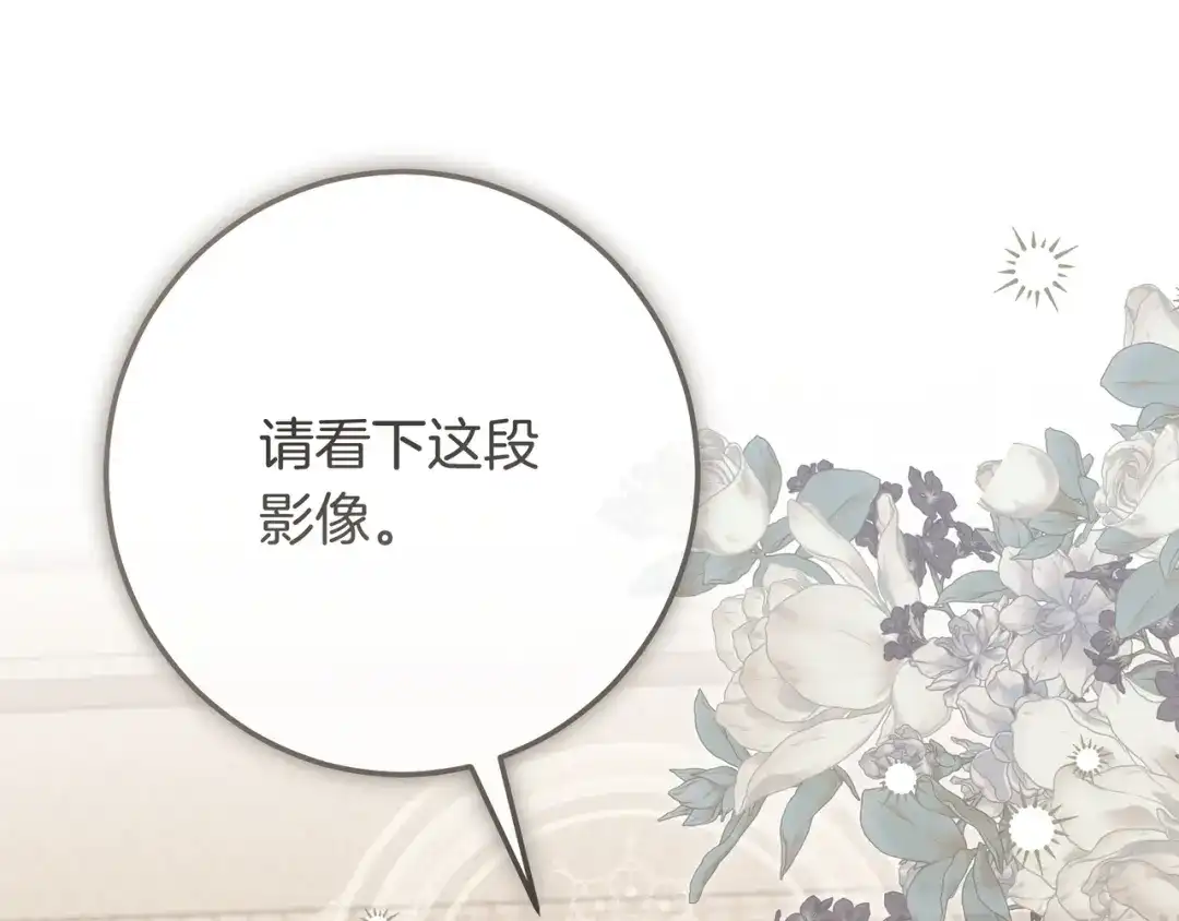 第242页