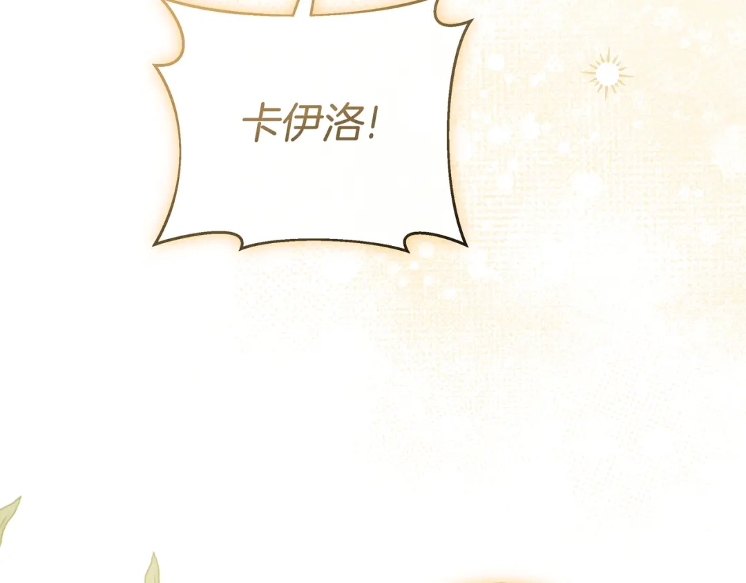 第236页