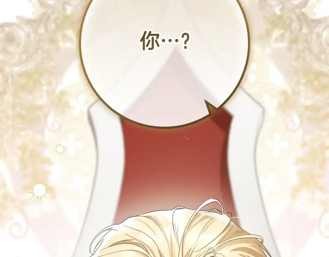 第233页