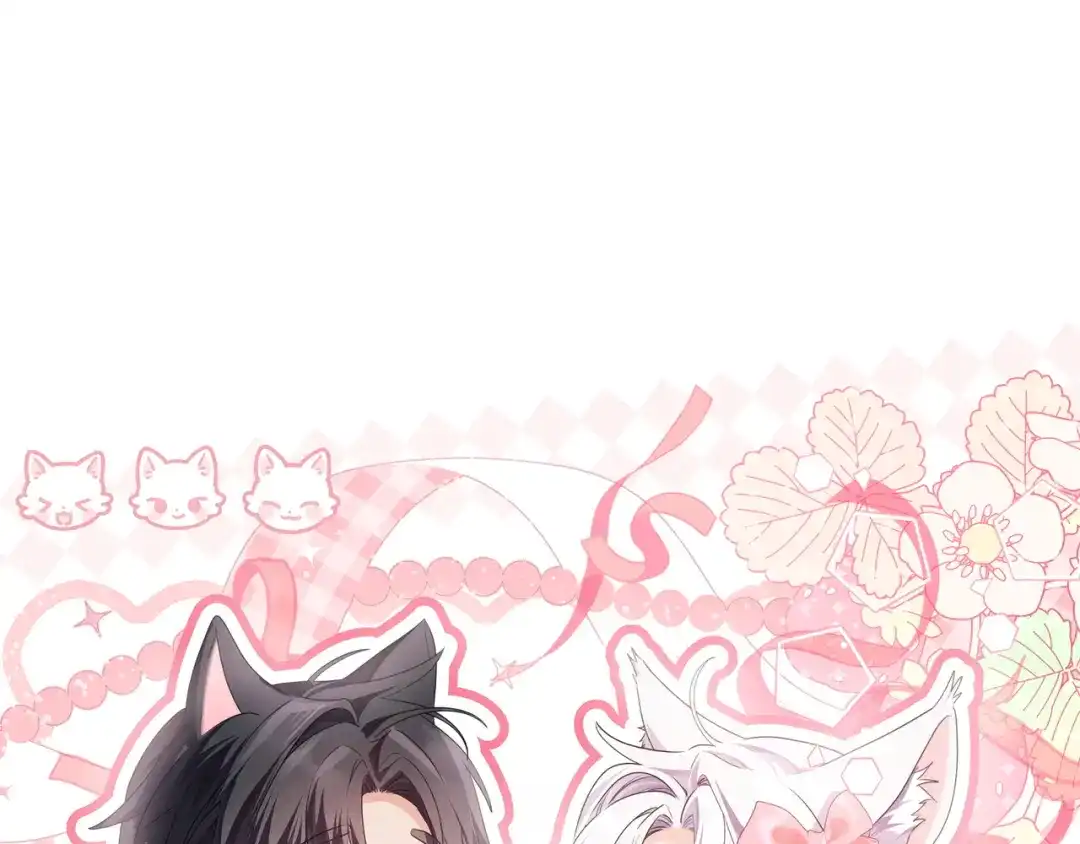 第241页