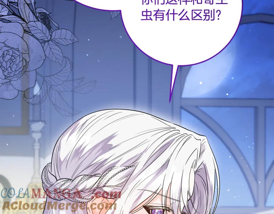 第221页