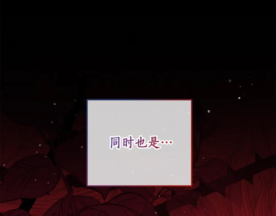 第247页