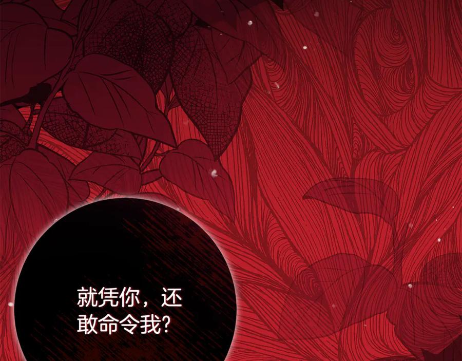 第248页