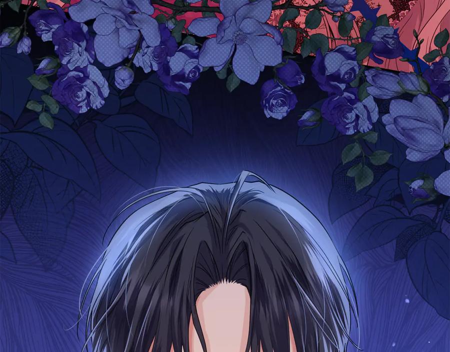 第251页