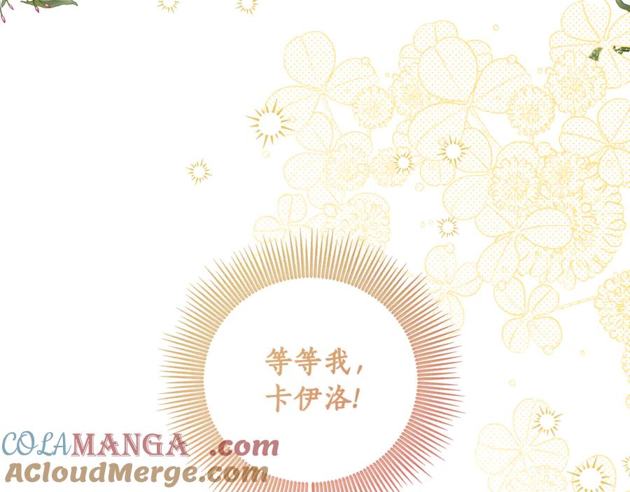 第233页