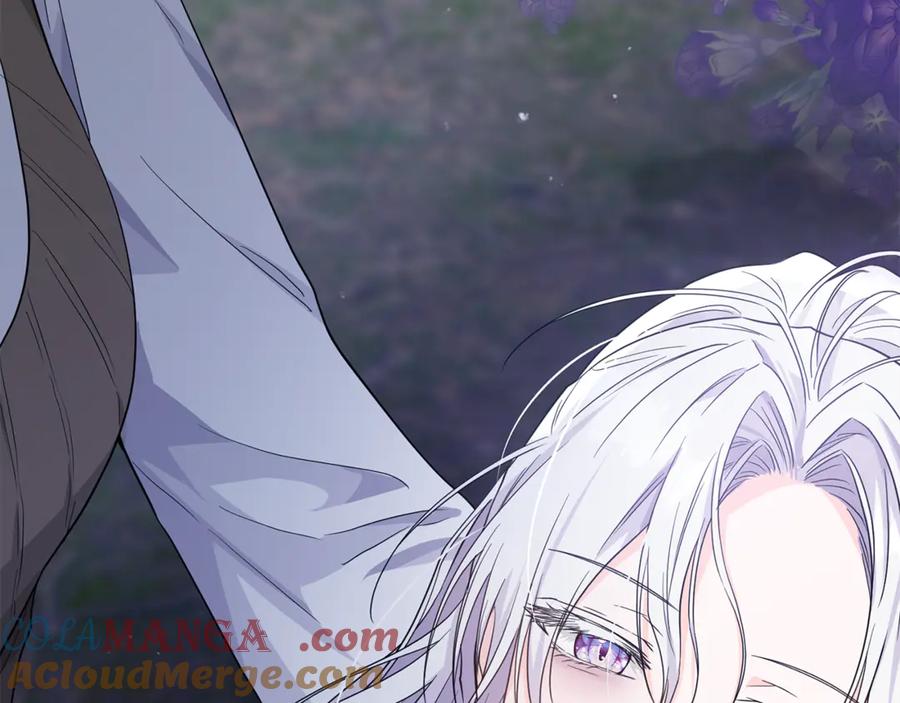 第224页