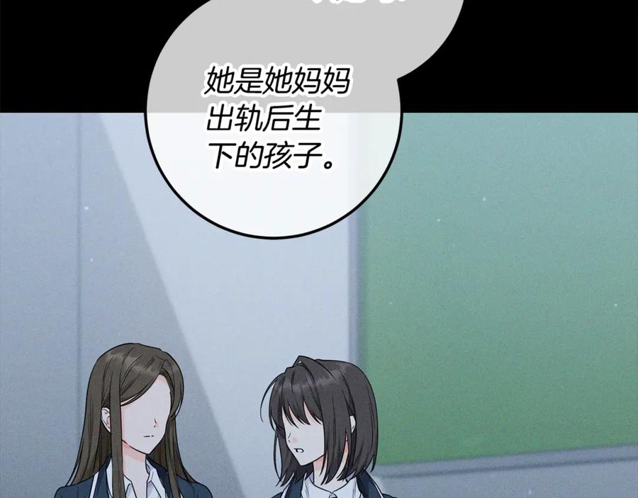 第242页