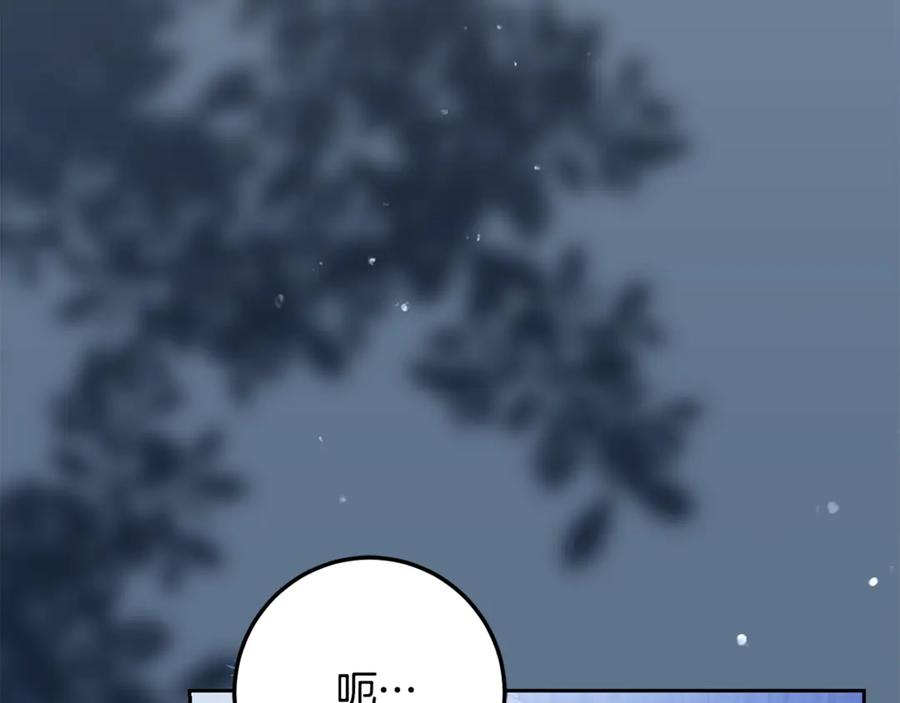 第339页