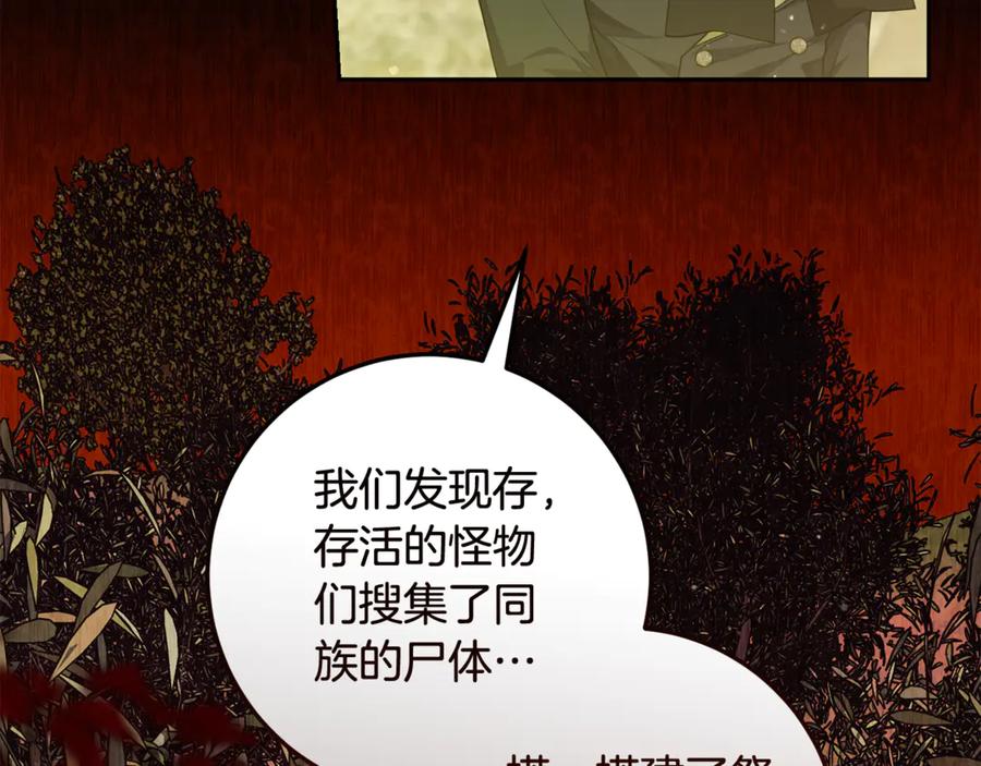 第251页