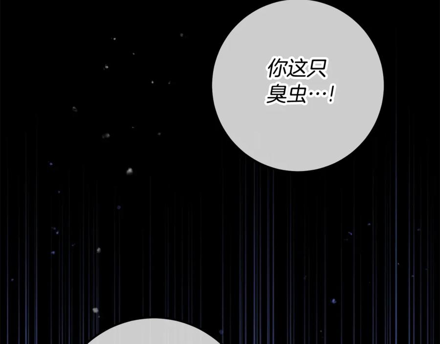 第223页