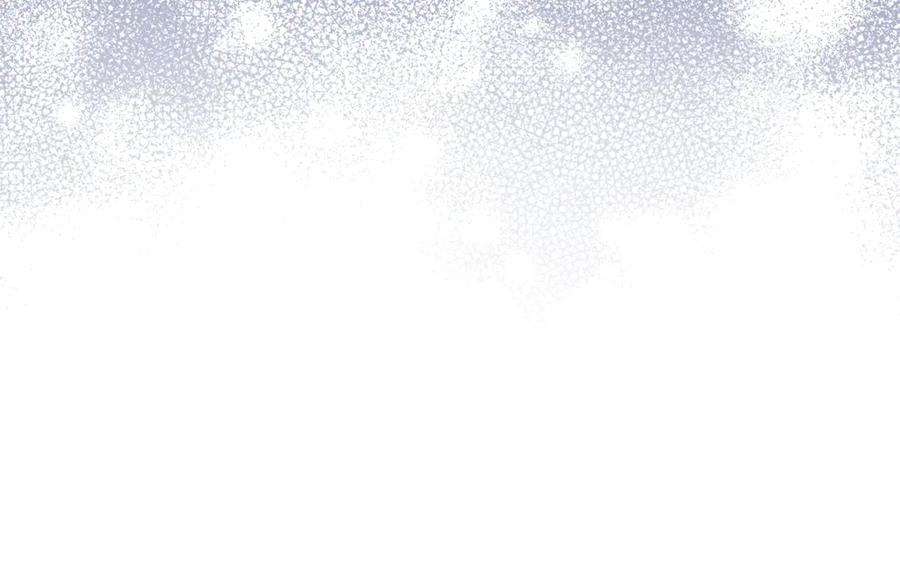 第239页