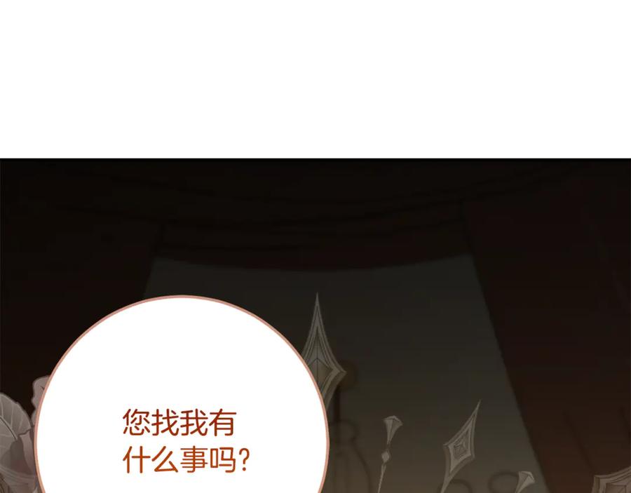 第255页