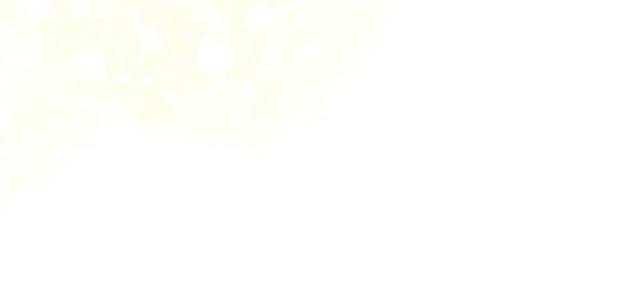 第333页