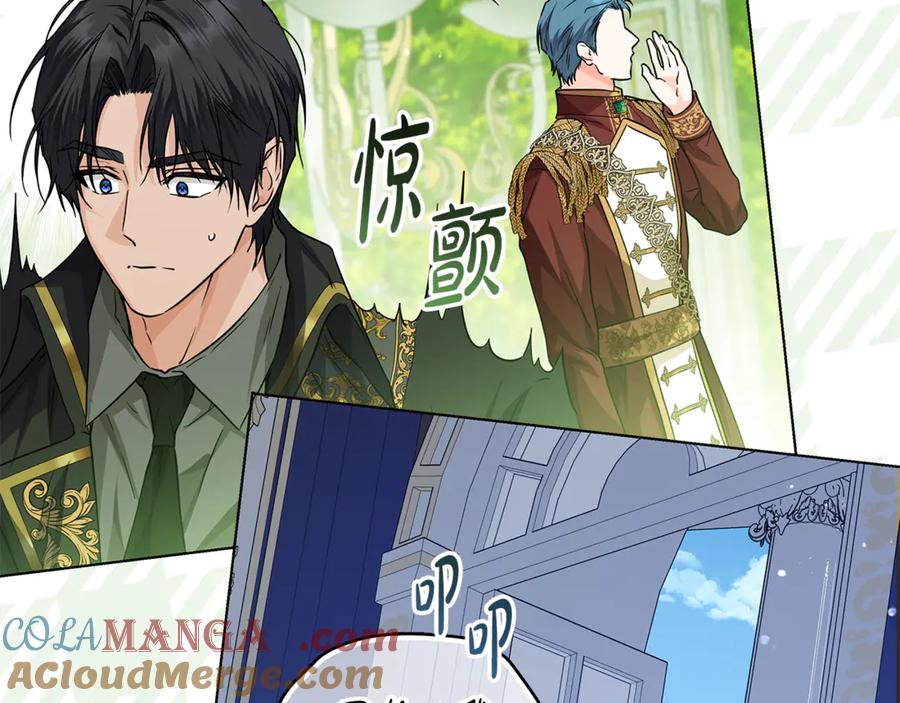 第204页