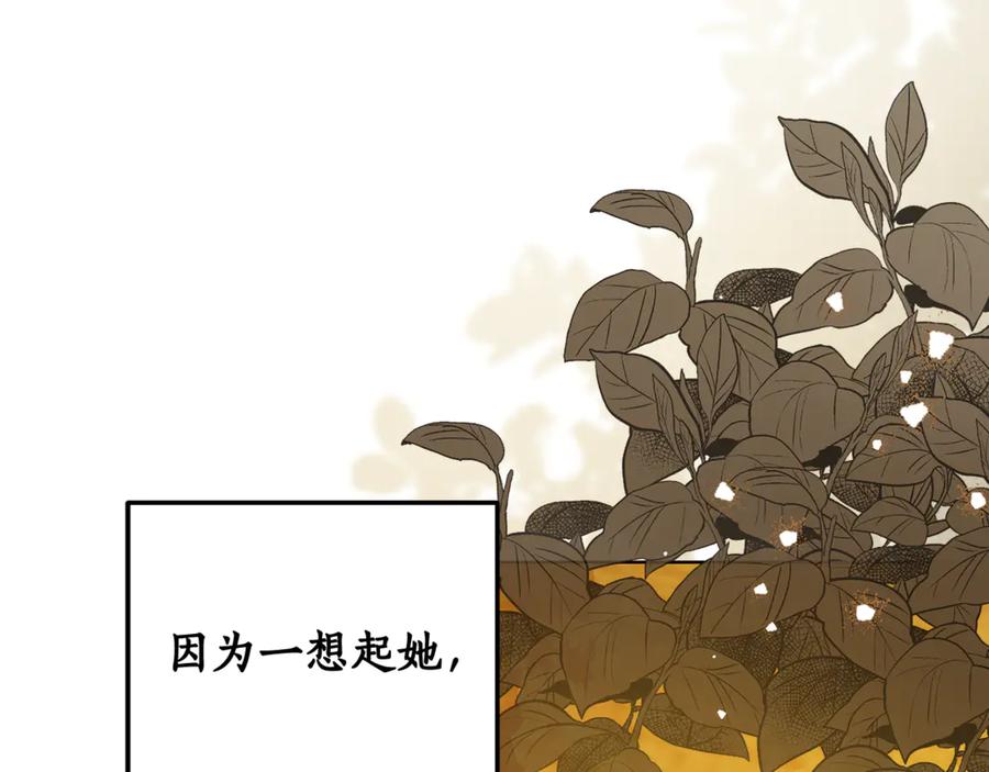 第232页