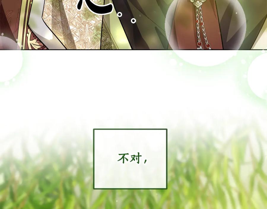第242页
