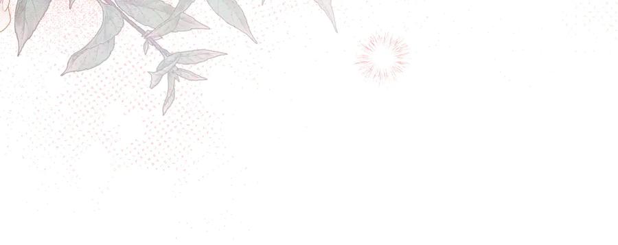 第289页