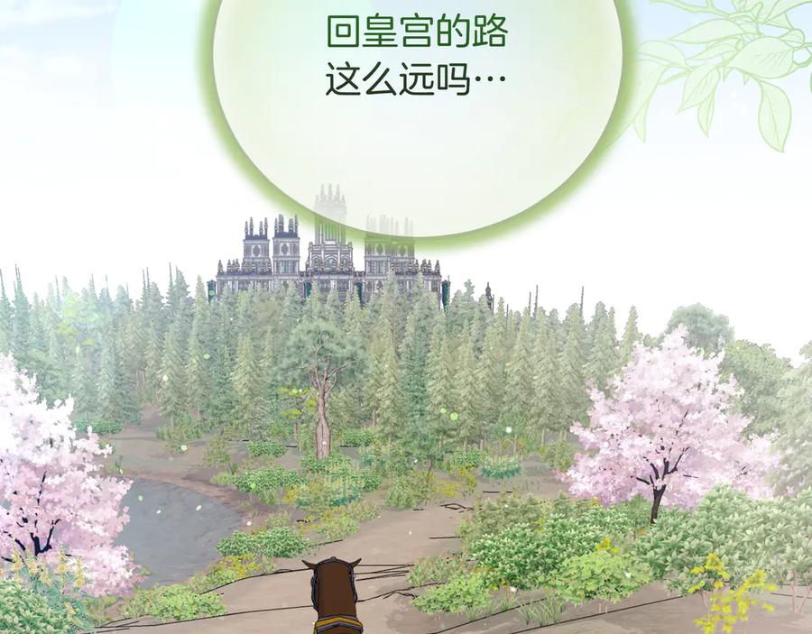 第196页