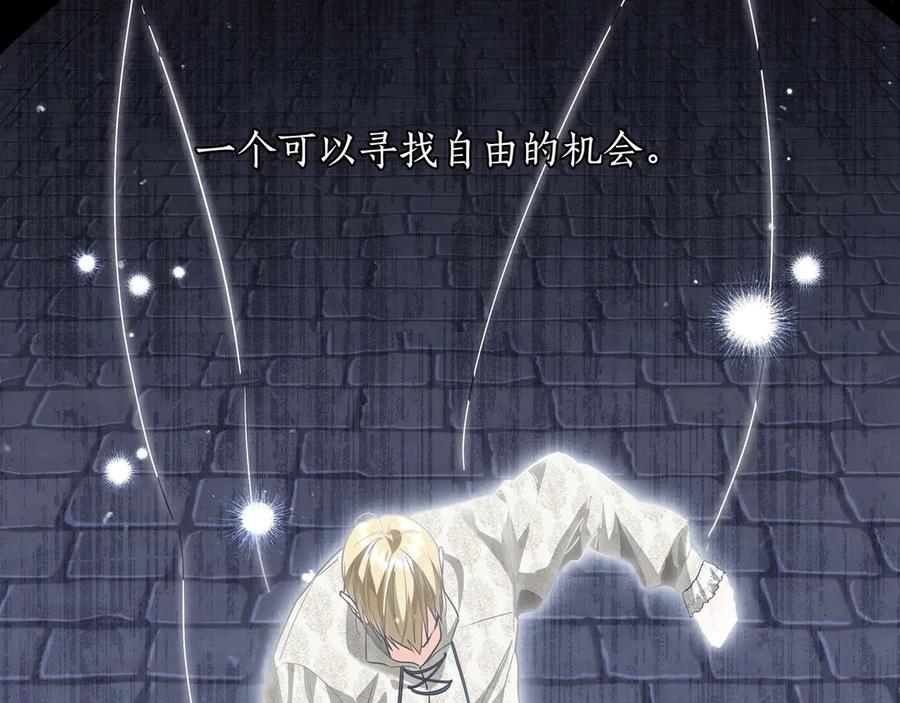 第215页