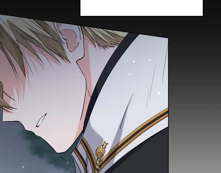 第223页