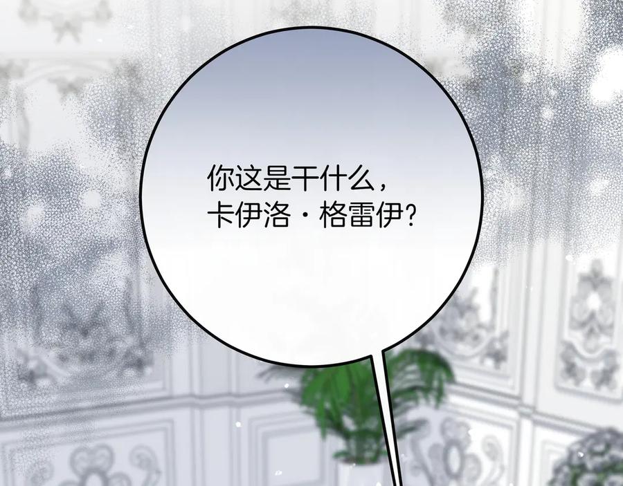 第241页