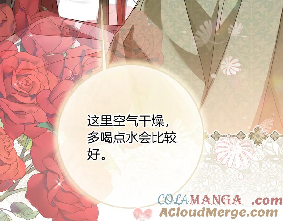 第243页